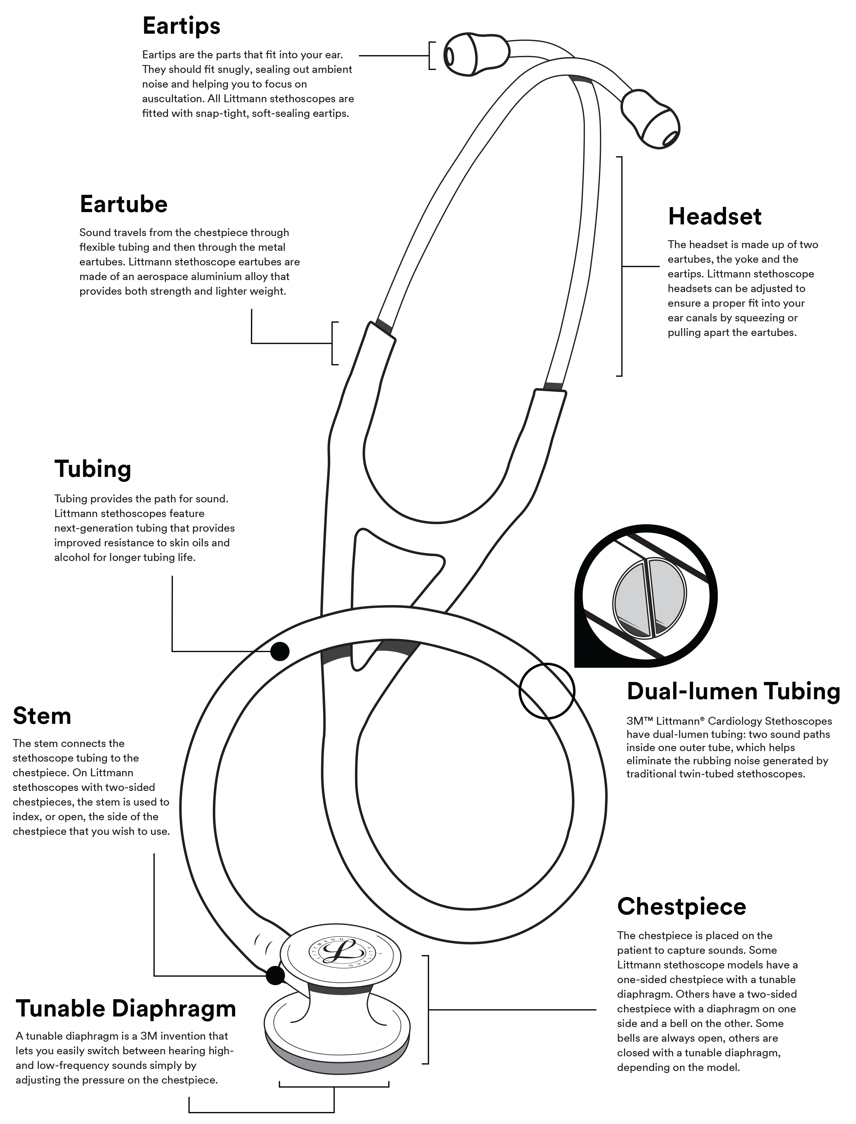 Parts Of A Stethoscope Labeled