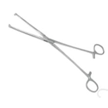 Rocialle Allis Tissue Forceps Toothed 4:5 24cm x 20