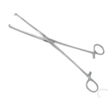 Rocialle Allis Tissue Forceps - Toothed, 24cm x 1