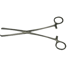 Rocialle Teales Forceps - Straight, Toothed, 23cm x 1