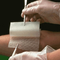 Bactigras - 10cm x 10cm x 10 Dressings