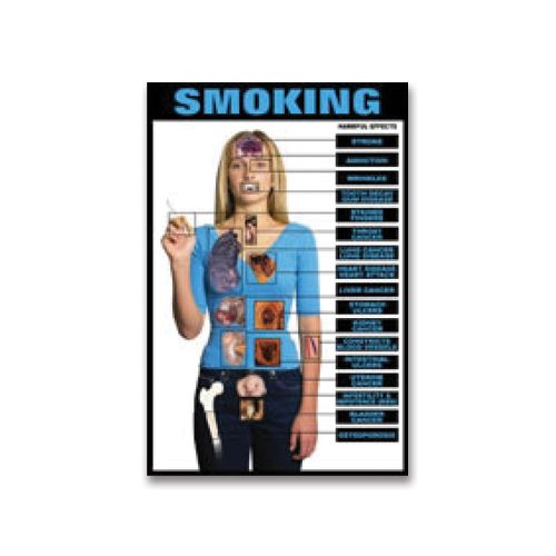 Harmful Effect of Smoking Chart