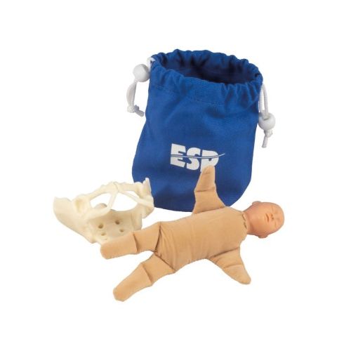 Miniature Birth Model Set