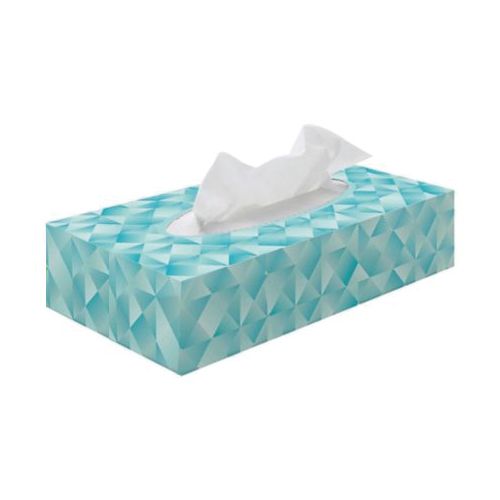 [MD01615] Premium White Facial Tissues (2-ply,100 S) x 40 Boxes