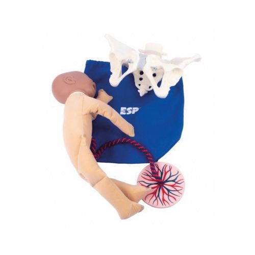[MD04817] Birth Model Set