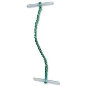 [SP00038] Plastic-Ended Treasury Tags (76mm) in Green - Pack of 100