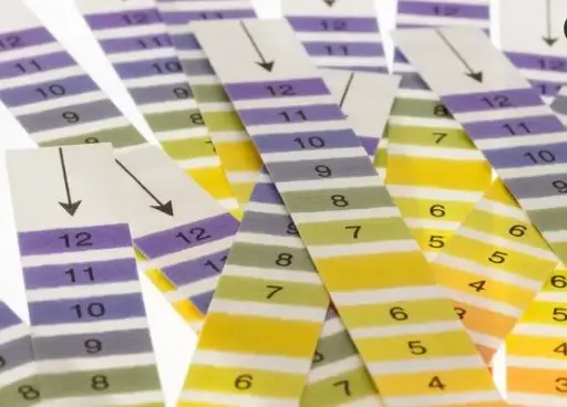 [MD10299] Medicina Graduated PH Indicator Strips x 200